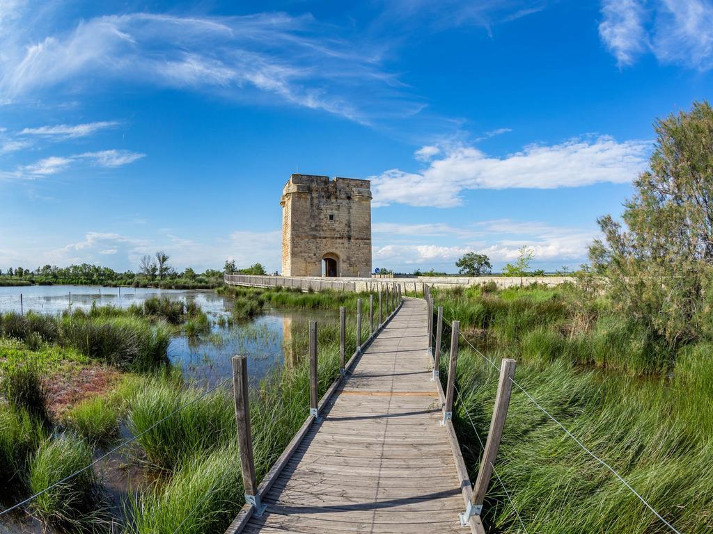Artemia Aigues-Mortes - Hotel Avec Piscine Eksteriør bilde